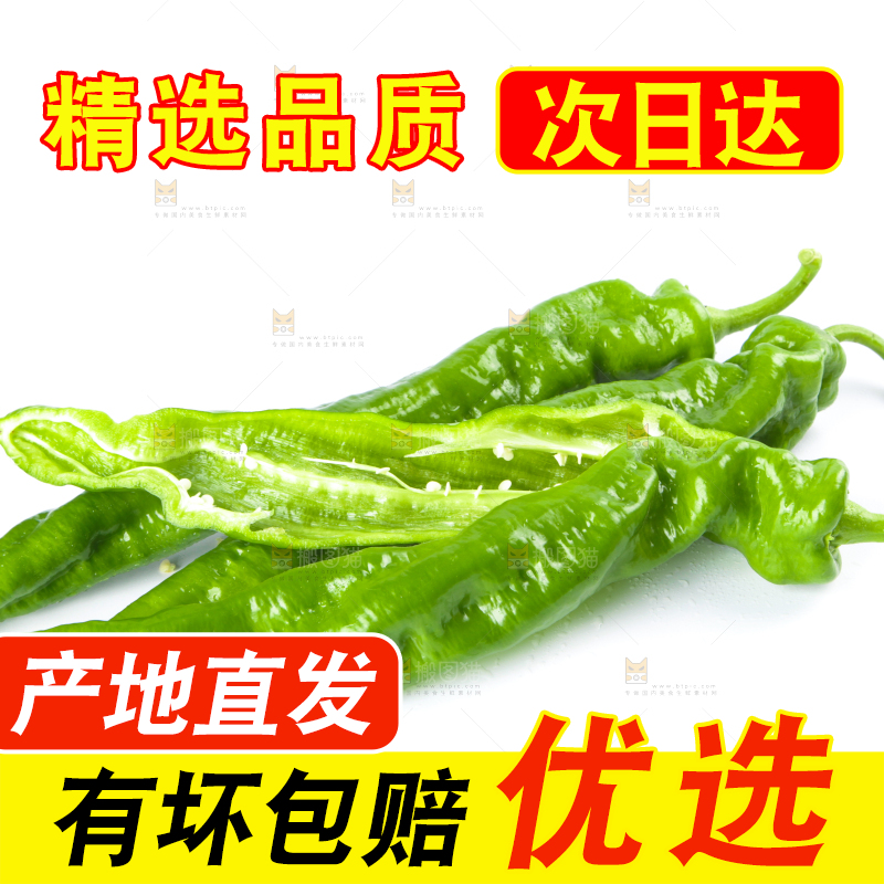 白底上摆放着青螺丝椒