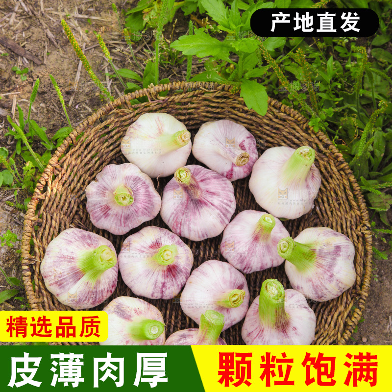 一篮紫皮大蒜
