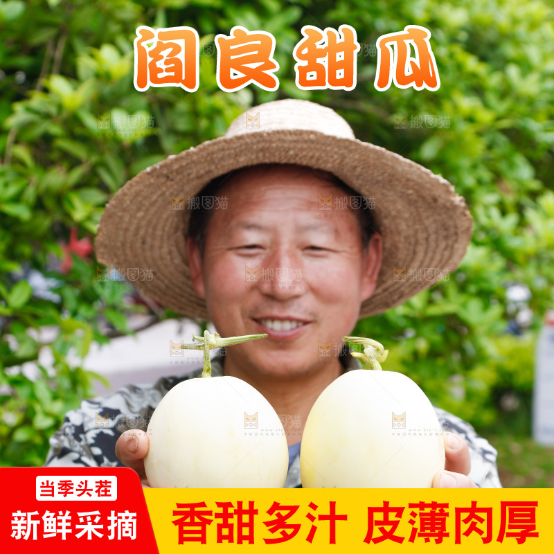 农民手里拿着阎良甜瓜