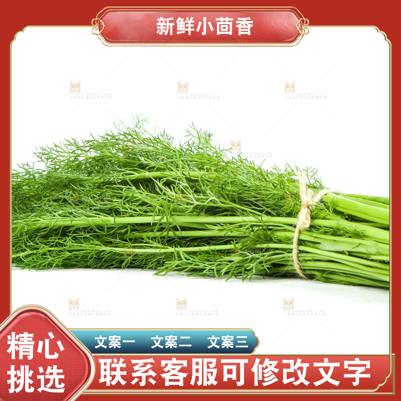 白底上放着小茴香