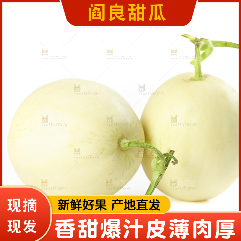 白底上的阎良小甜瓜