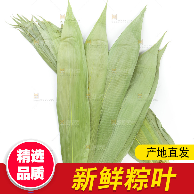 白底上的天然粽叶