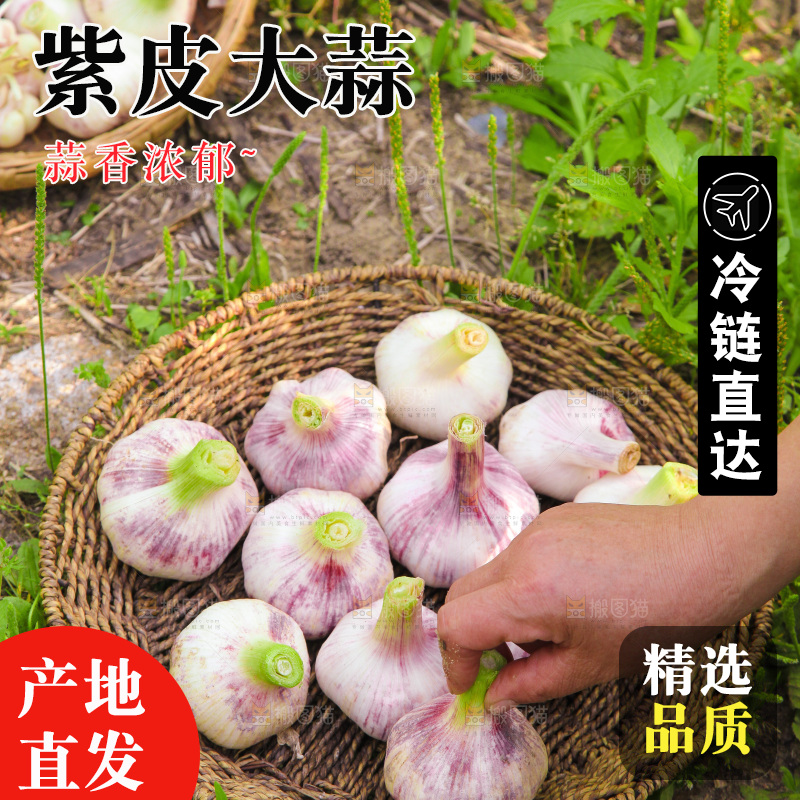 一篮紫皮大蒜