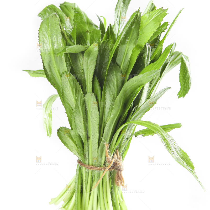 白底上的云南新鲜大香菜