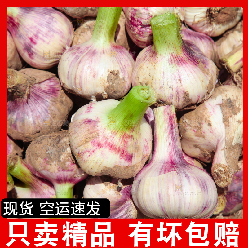 一箱新鲜大蒜