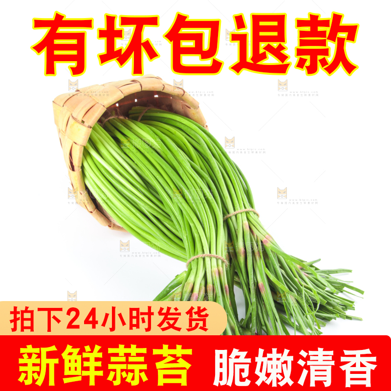 一筐蒜苔放在白底上