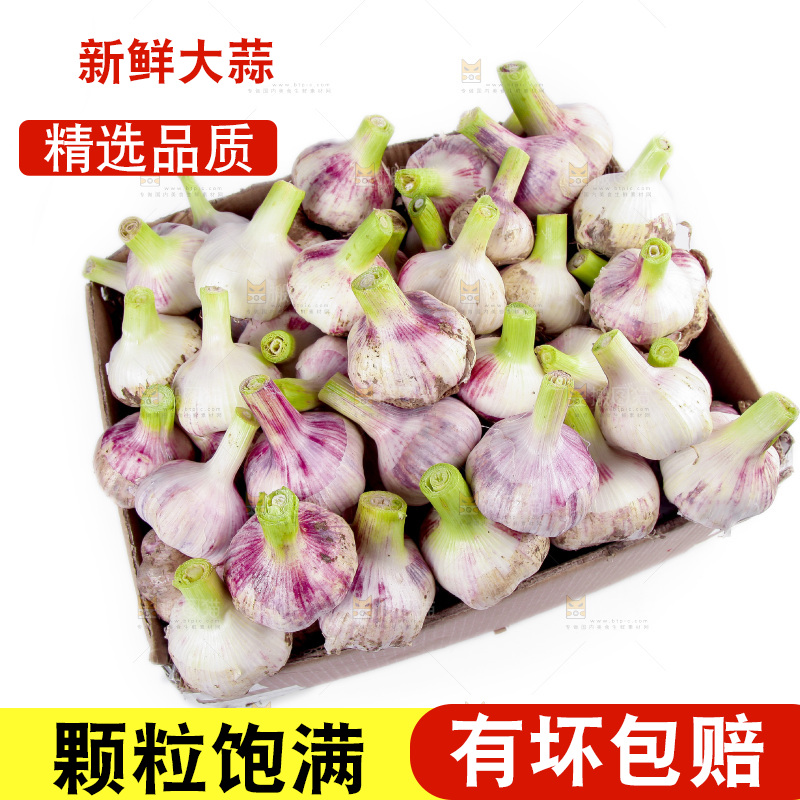 一箱新鲜大蒜