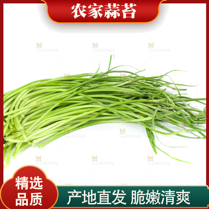 白底上的新鲜蒜苔