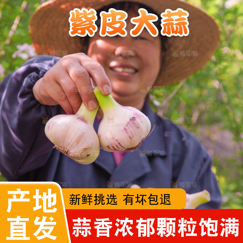 手里拿着新鲜大蒜
