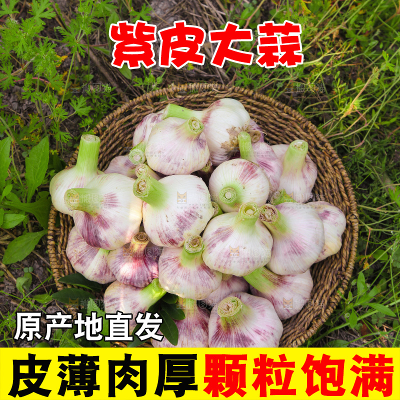 一篮紫皮大蒜