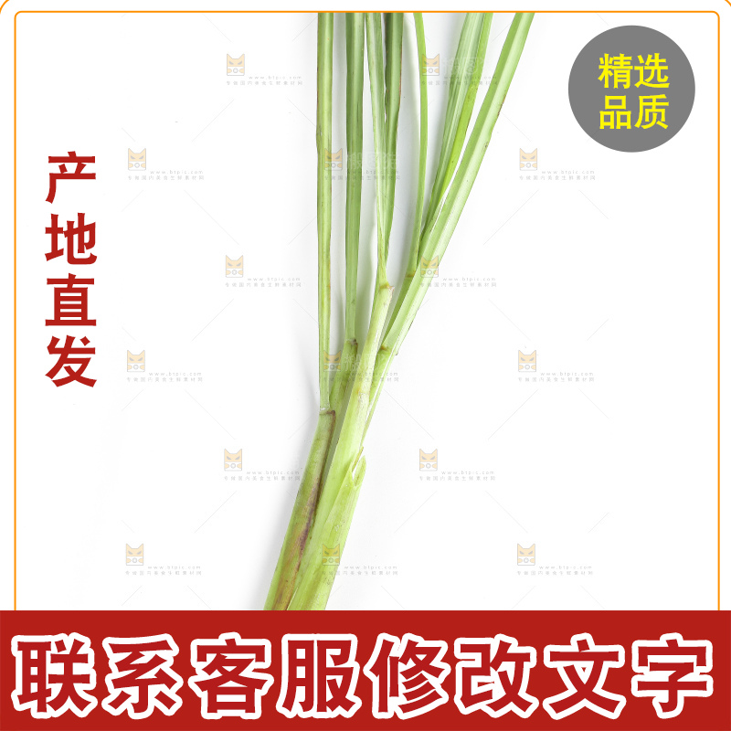白底上的越南柠檬草