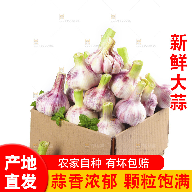 一箱新鲜大蒜