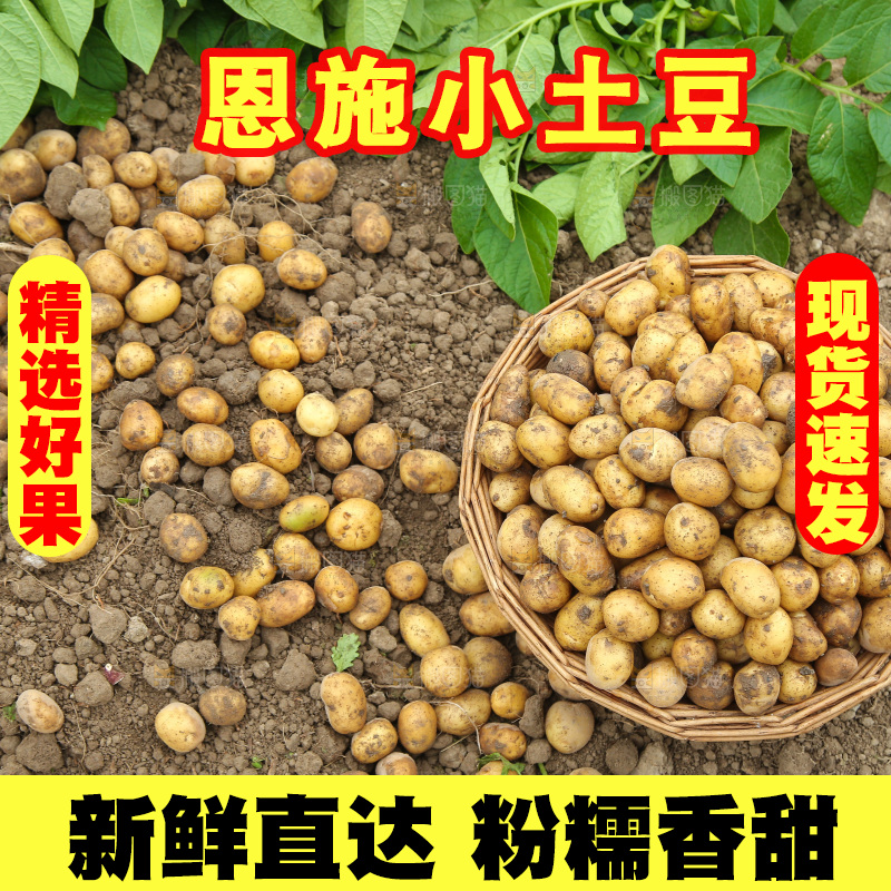 一篮恩施小土豆