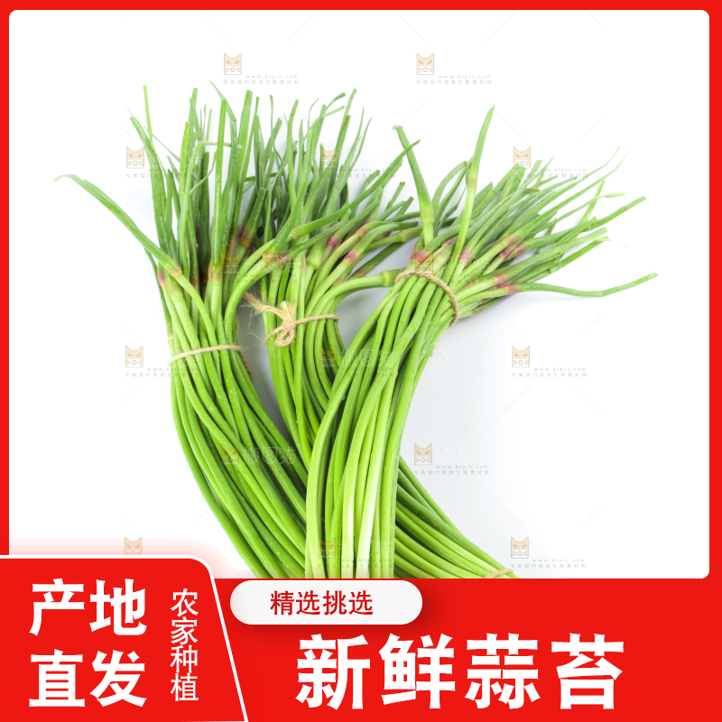 白底上的鲜嫩蒜苔