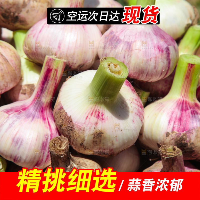 一箱新鲜大蒜