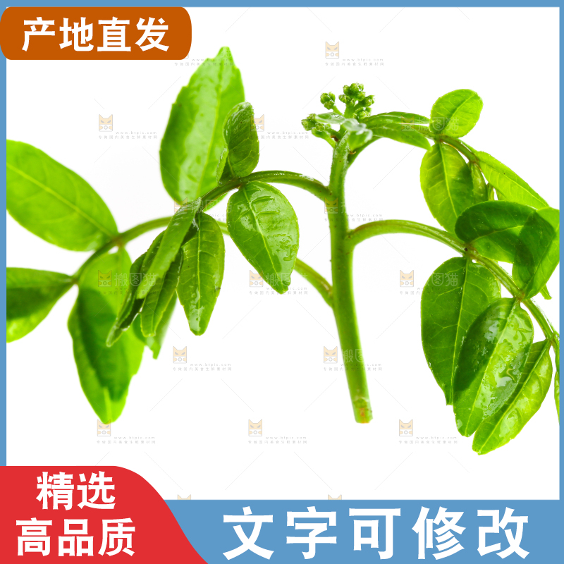 白底上放着花椒芽