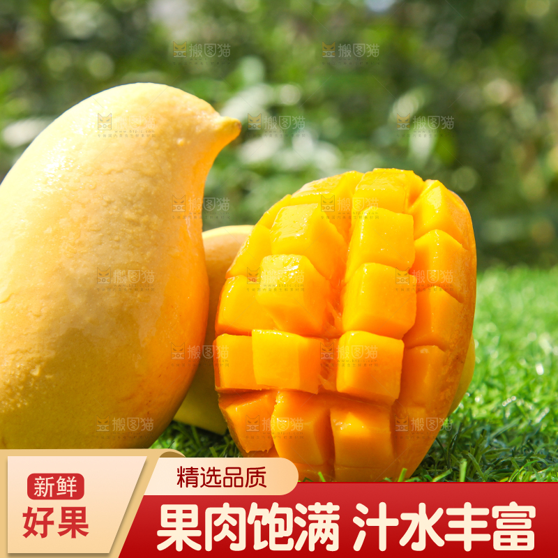 绿草地上摆放着鹰嘴芒果