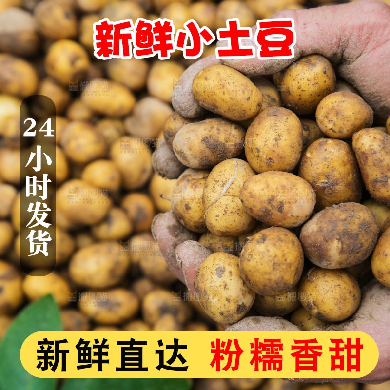 小土豆纹理