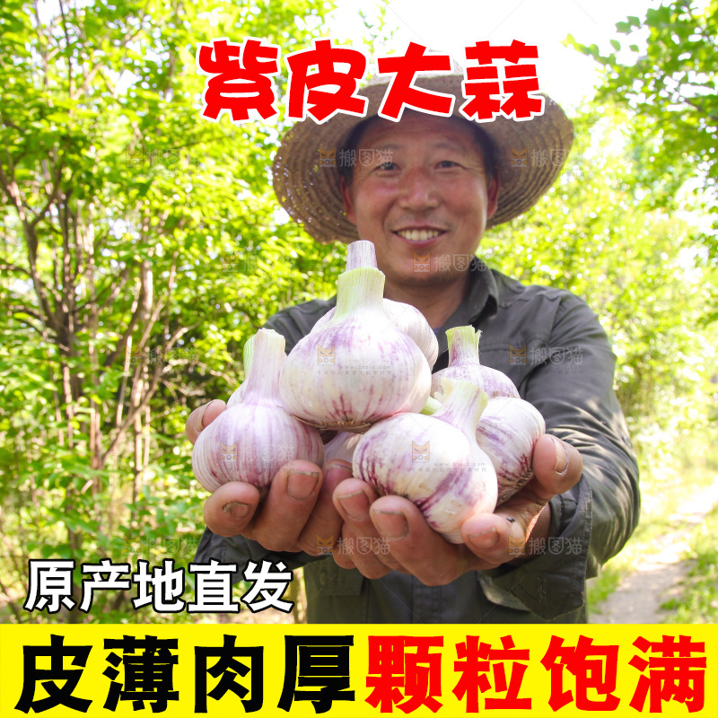 手里捧着鲜蒜