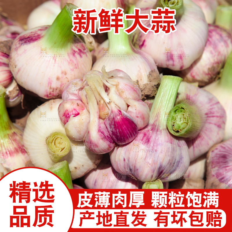 新鲜大蒜纹理