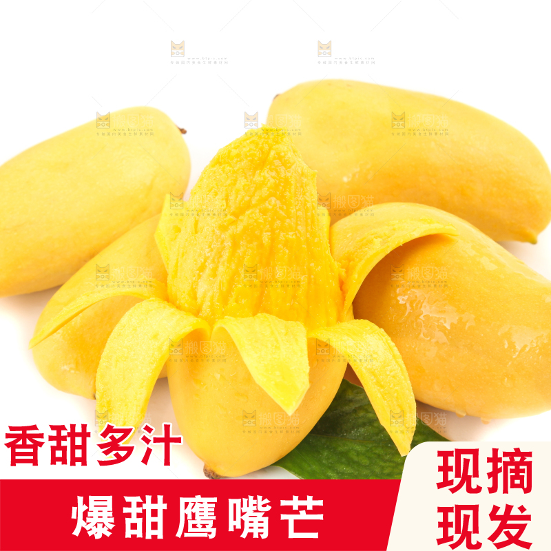 白底上放着象牙芒