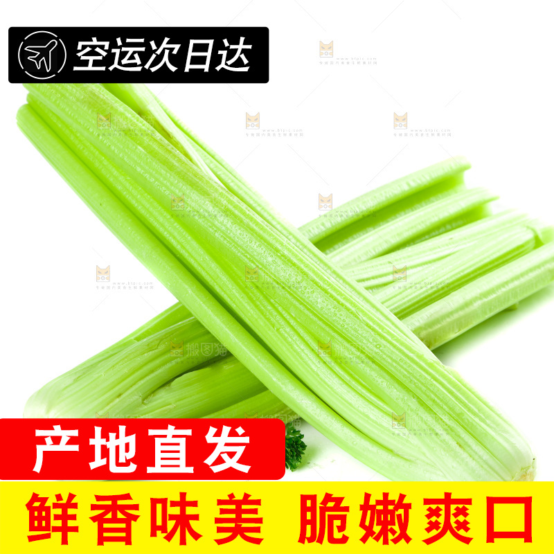 白底上放着西洋芹