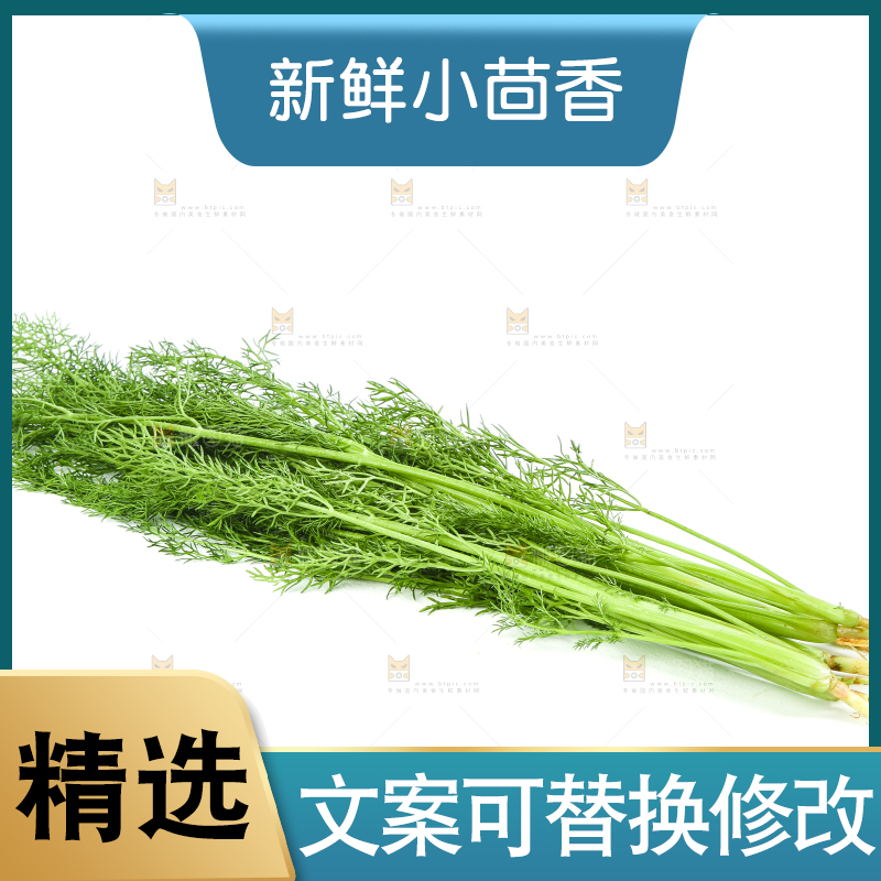 白底上放着小茴香