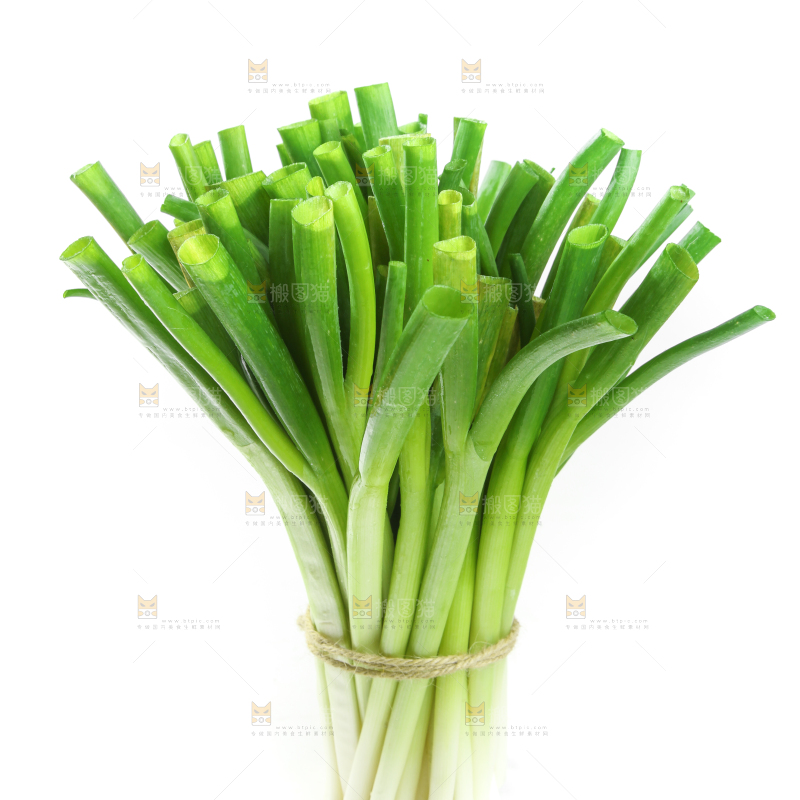 一捆大葱放在白底上