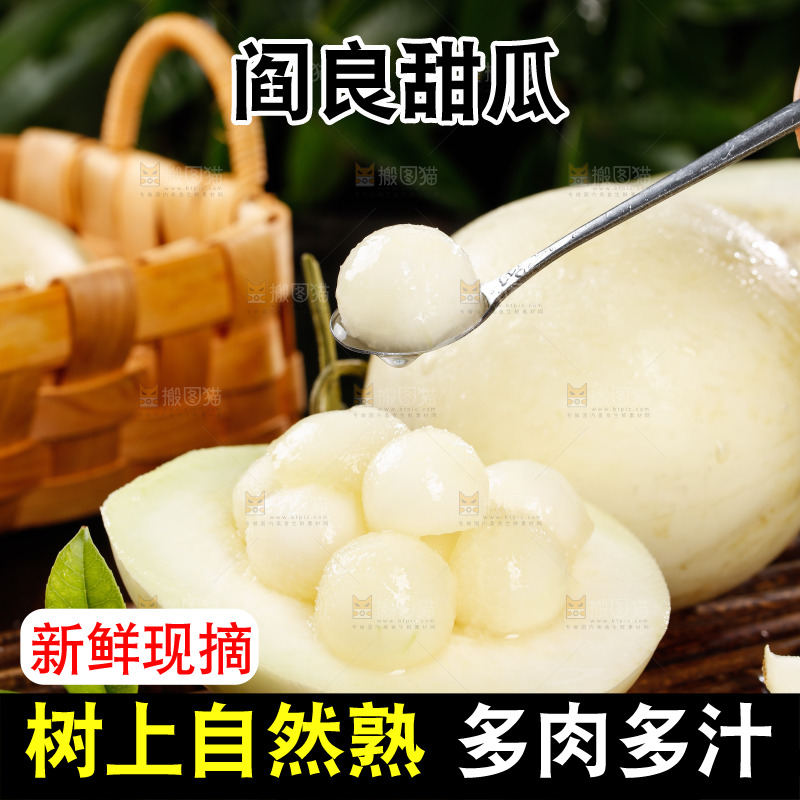 勺子上舀着阎良甜瓜果肉