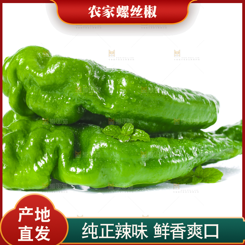 白底上的新鲜螺丝椒