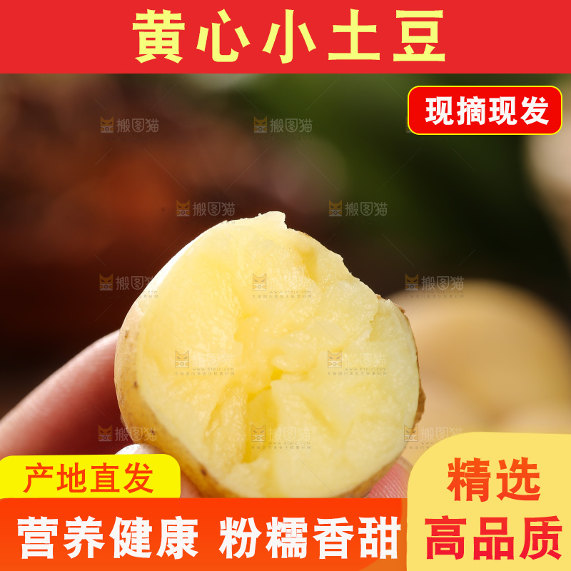 手里拿着小土豆