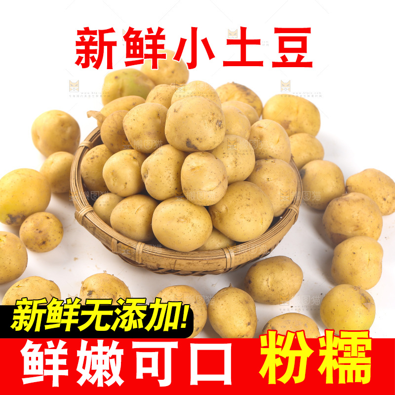 白底上的黄皮小土豆