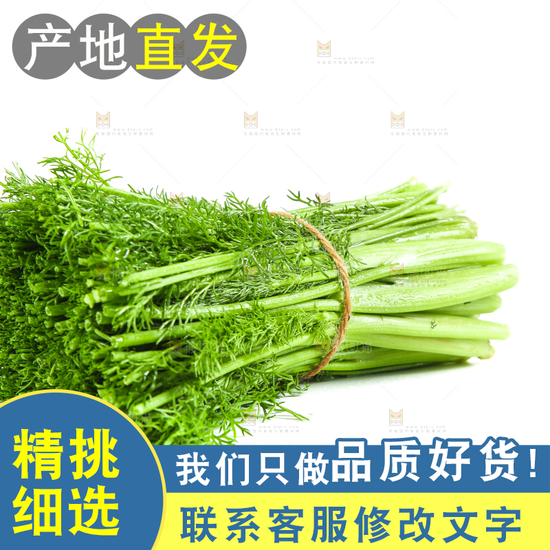 白底上放着小茴香