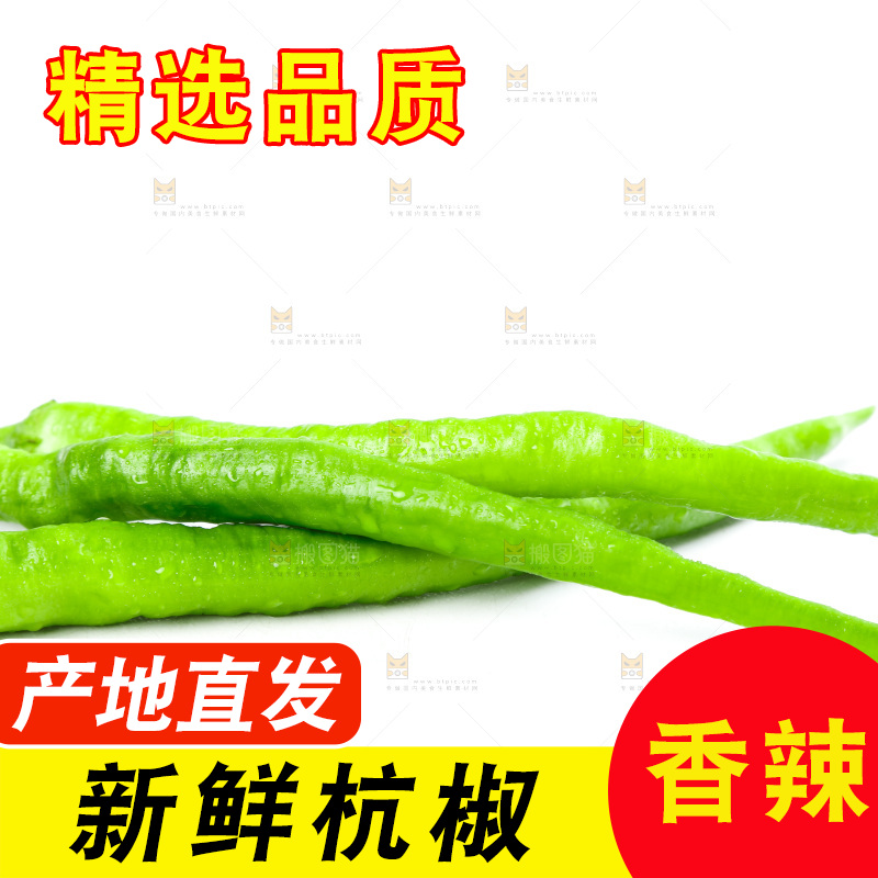 白底上放着青杭椒