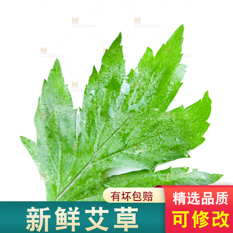 白底上摆放着艾草