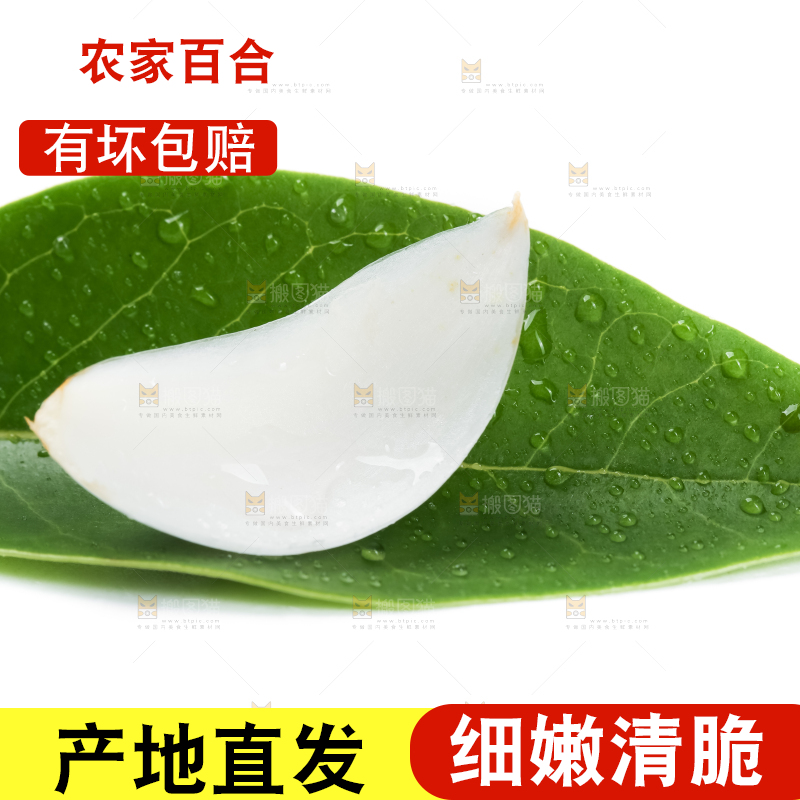 枝叶上摆放着鲜百合