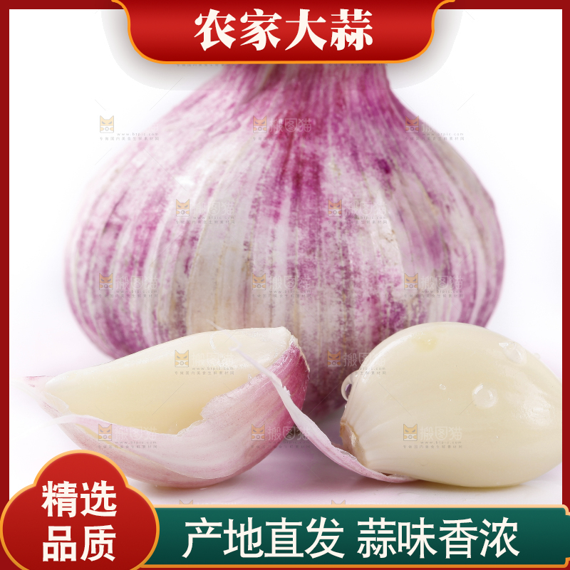 白底上放着新鲜紫皮大蒜头