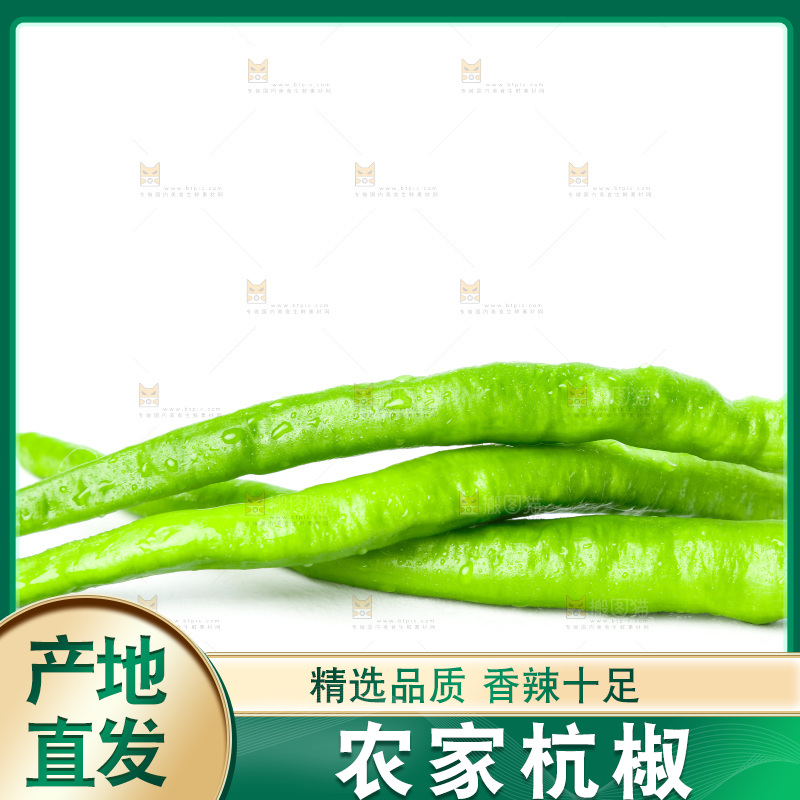 白底上放着青杭椒