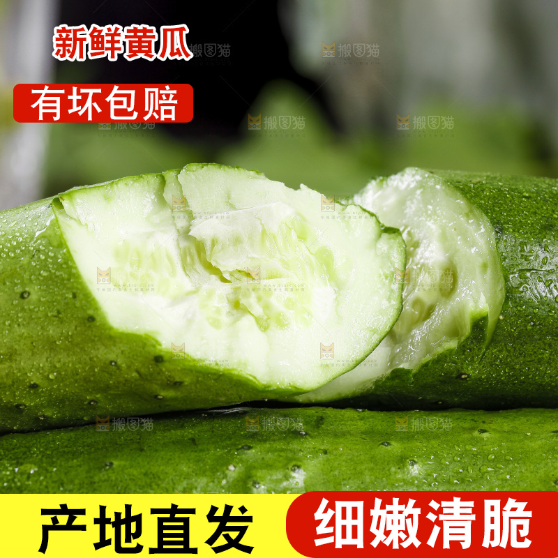 堆放着一堆的黄瓜