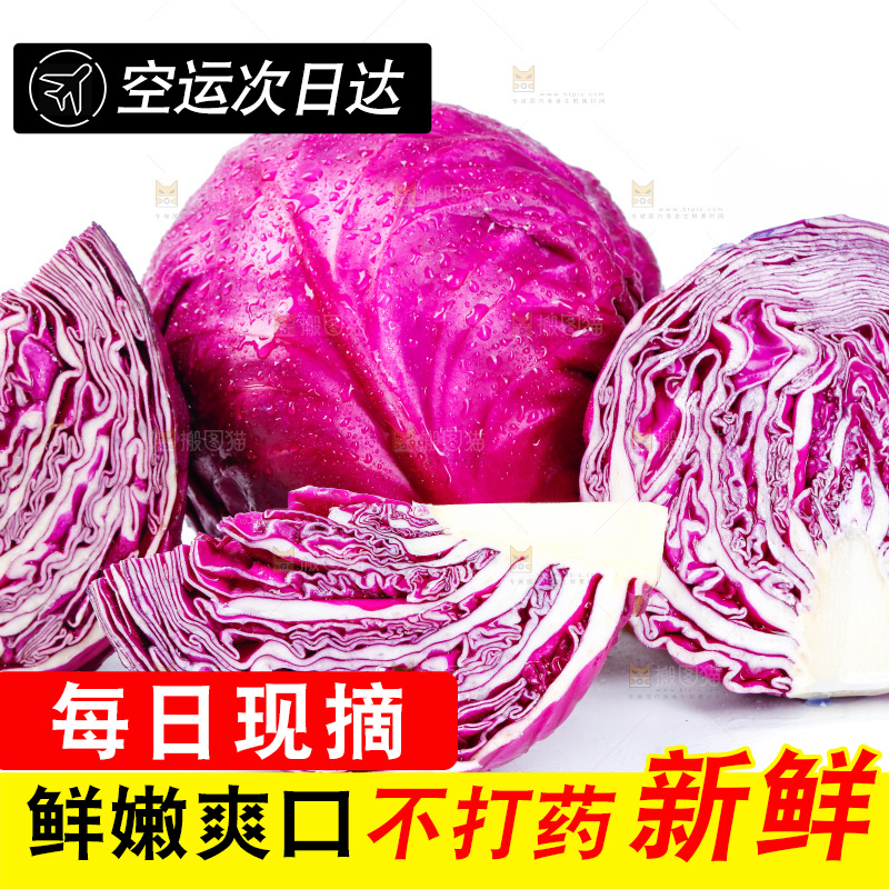 白底上放着新鲜紫甘蓝