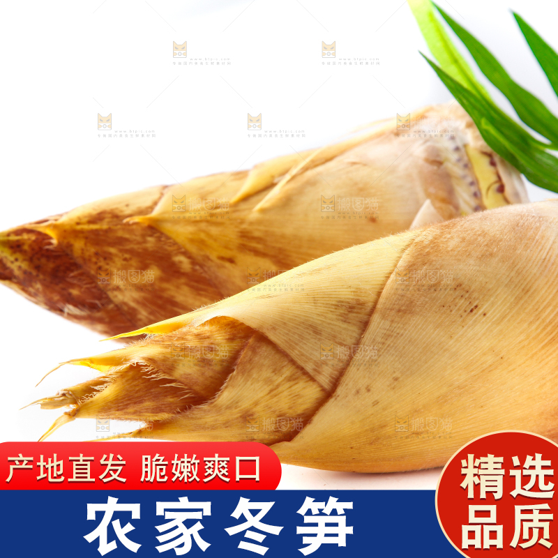 白底上摆放着冬笋