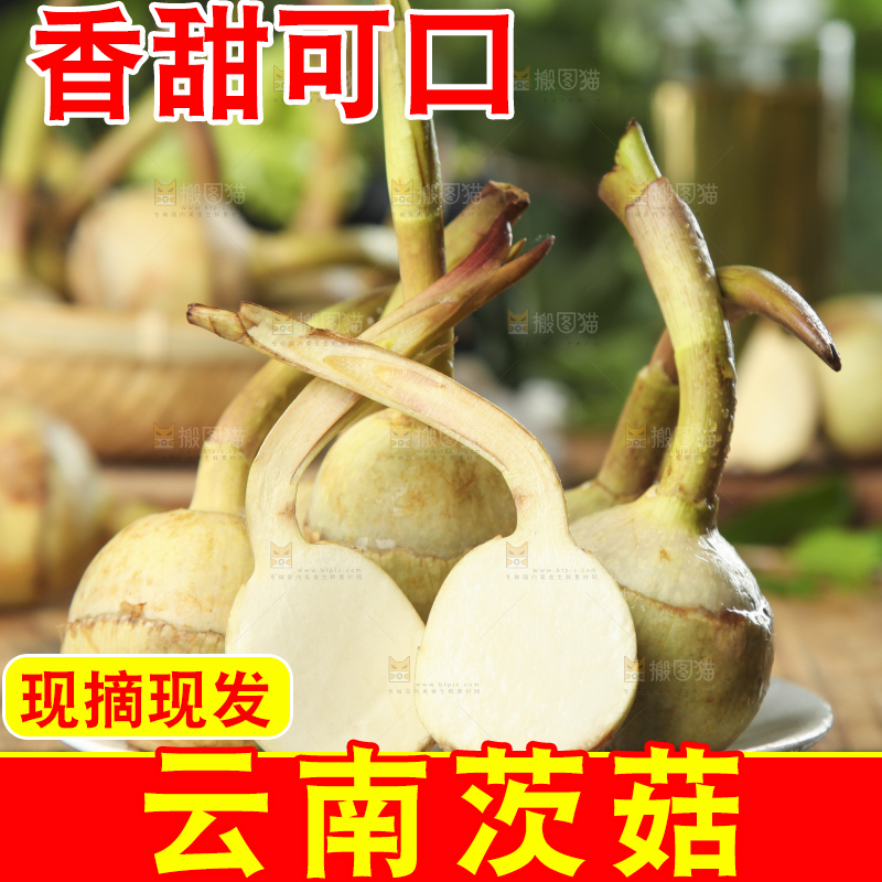 盘子里装着白慈菇