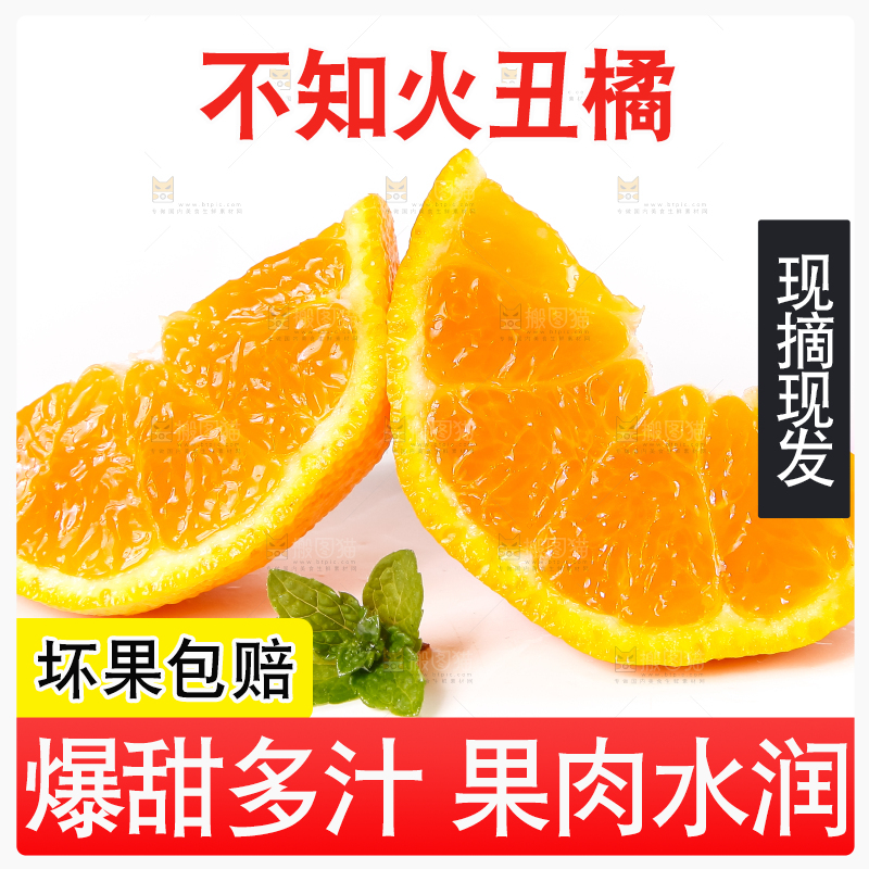 白底上摆放着柑橘