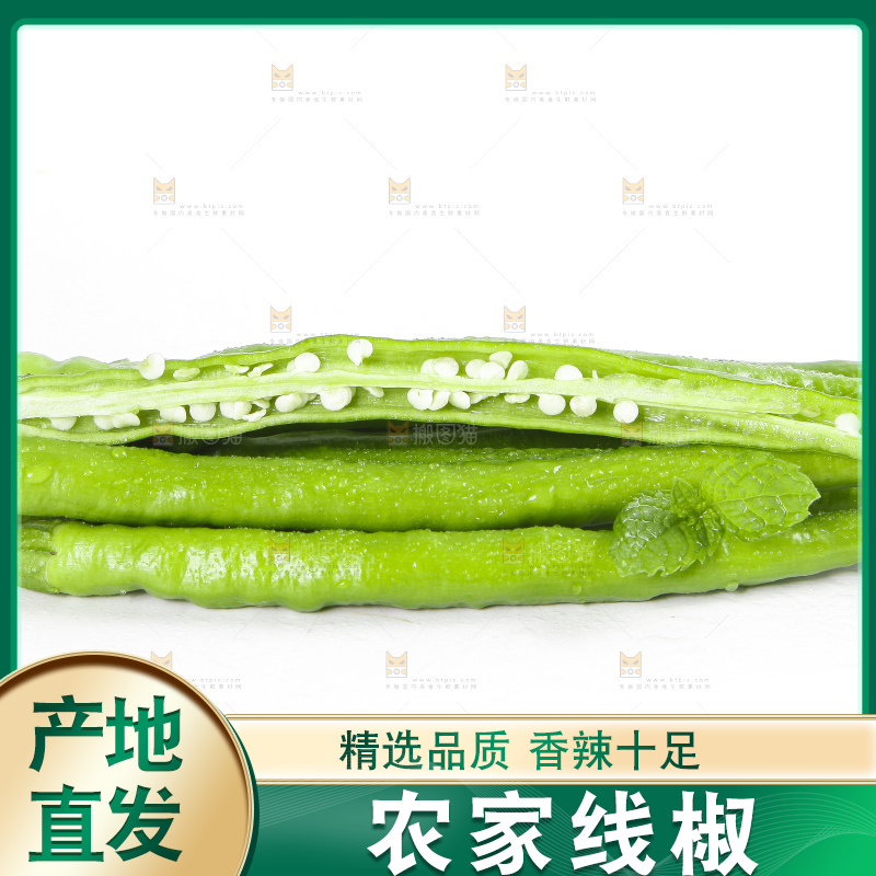 白底上的青线椒