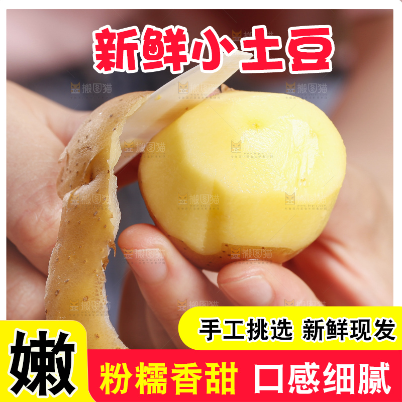 深底上的宜昌小土豆