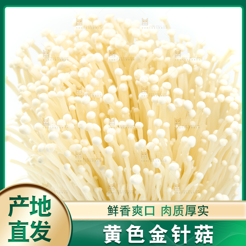 白底上的金针菇