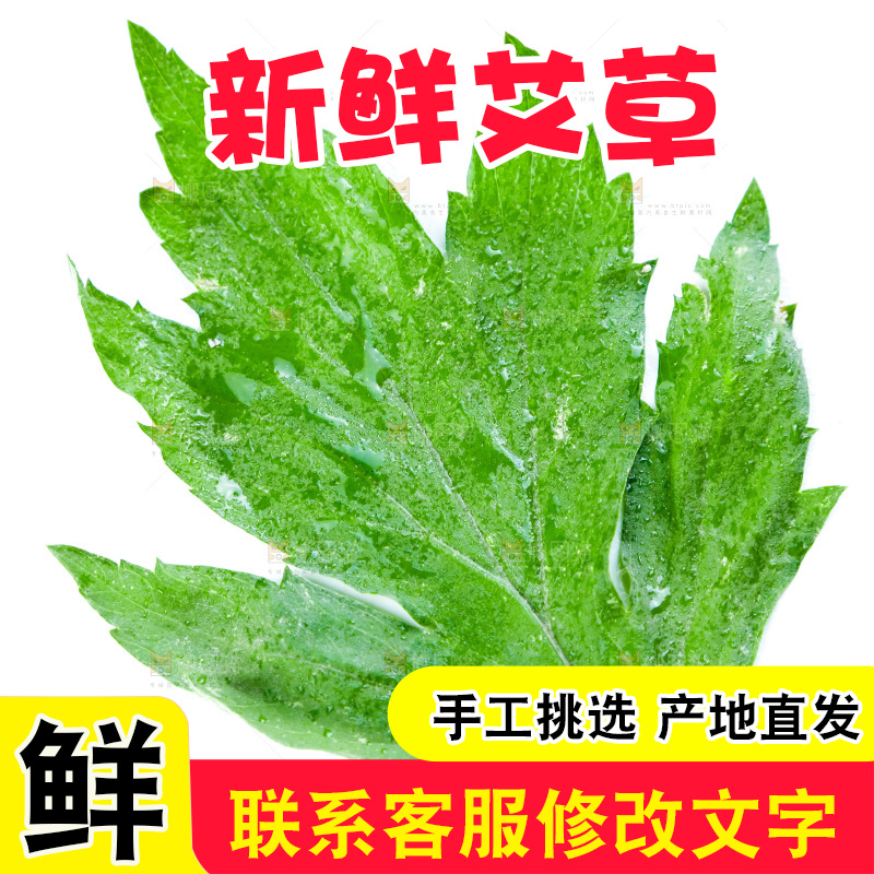 白底上摆放着艾草