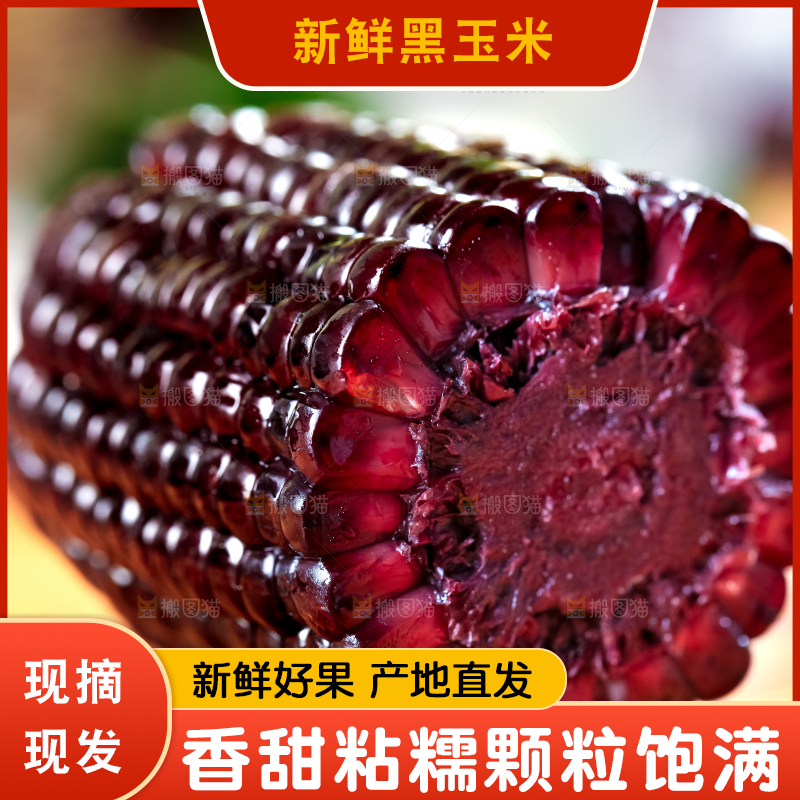 木底上摆放着黑玉米
