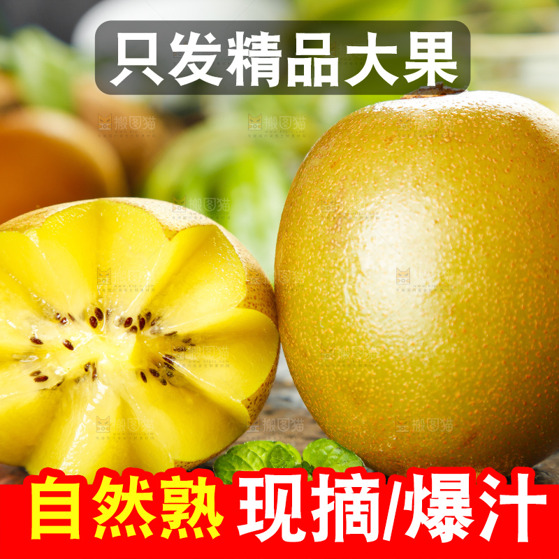 木底上摆放着陕西黄心猕猴桃