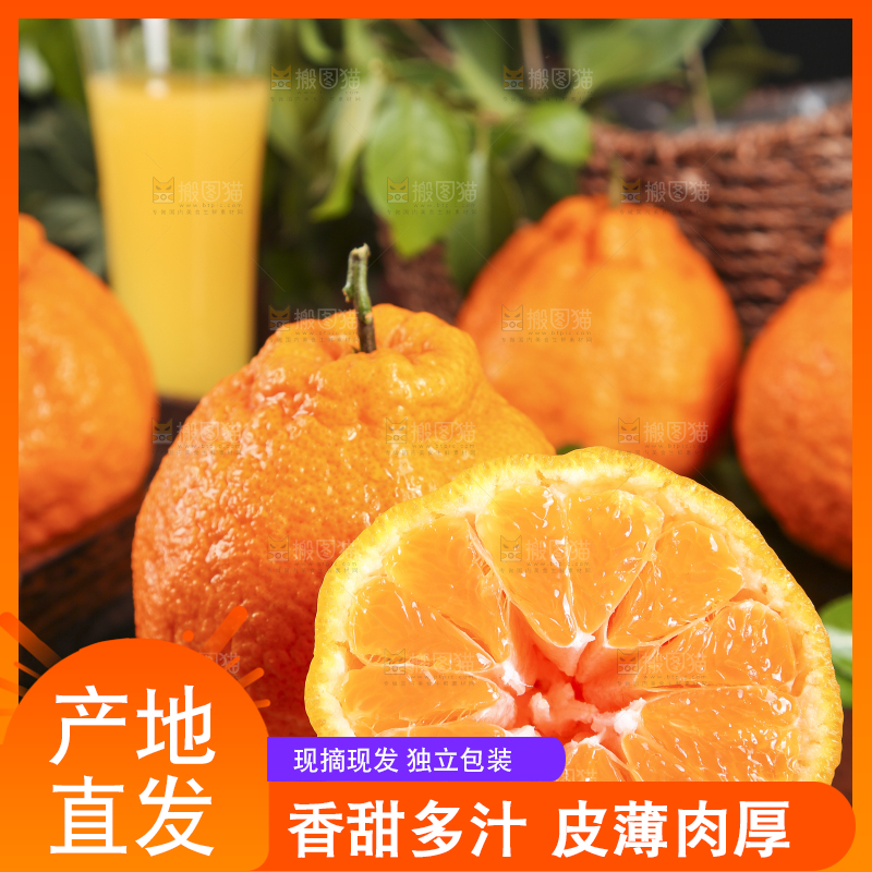 盘子里装着柑橘